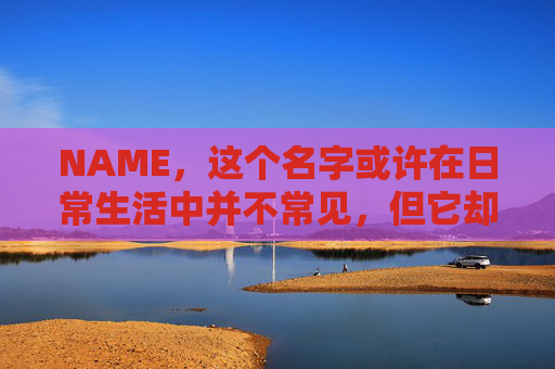 NAME，这个名字或许在日常生活中并不常见，但它却在某些领域里扮演着重要的角色。今天，让我们一起来探索这个名字背后的故事和意义